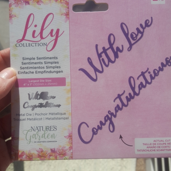 NEW crafting embossing and dies - Picture 4 of 7